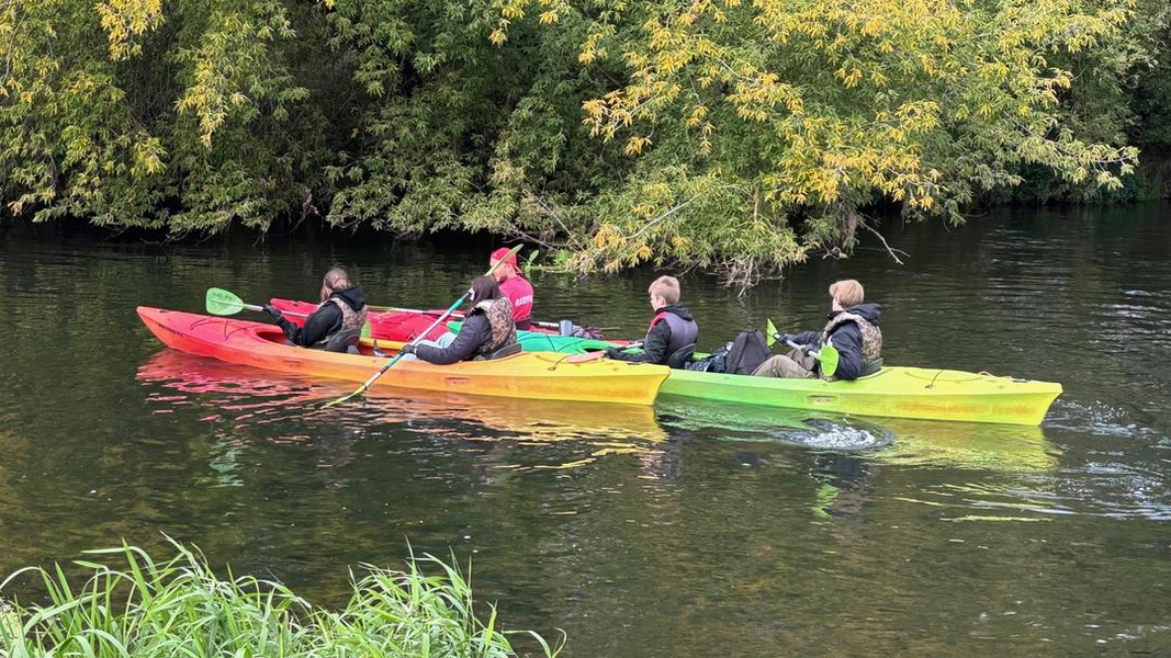Zdjęcie na okładce dla Organizacja Ekologiczna - Nasza Fundacja wspiera działania ekologiczne w Polsce
